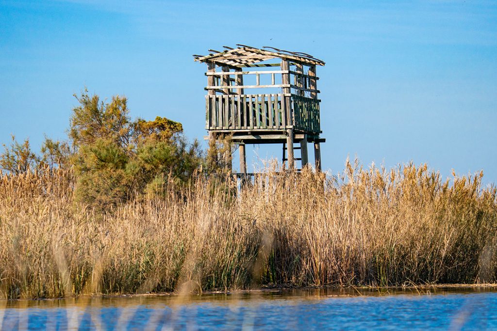 bird watching Vrana lake